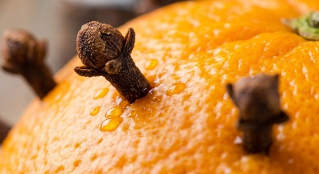 Naranja con clavo de olor